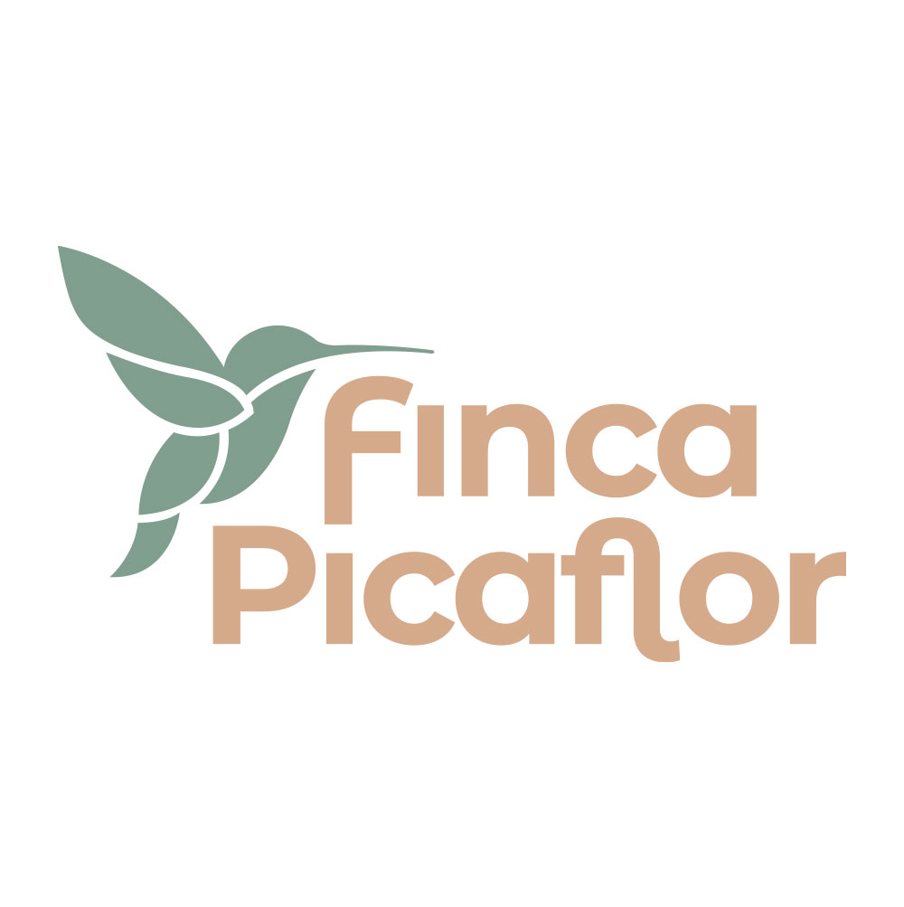 Ontwerp en realisatie website Casa Abajo, Competa, Zuid-Spanje