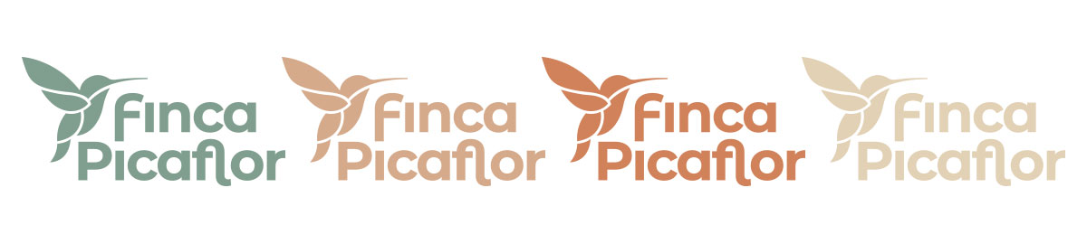 Ontwerp en realisatie website Casa Abajo, Competa, Zuid-Spanje