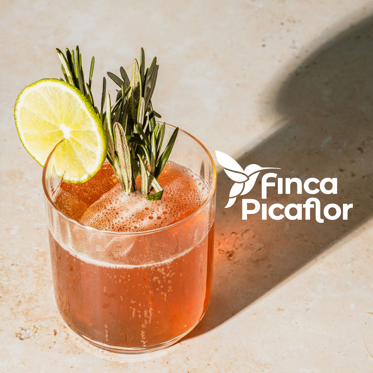 Ontwerp en realisatie website Casa Abajo, Competa, Zuid-Spanje